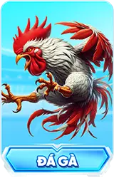 Đá gà trực tuyến tại FEBET